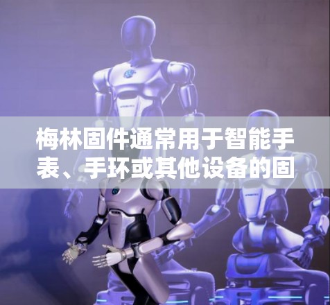梅林固件通常用于智能手表、手环或其他设备的固件更新和管理。如果你想在使用梅林固件的设备上配置VPN,可以按照以下步骤操作 梅林固件通常用于智能手表、手环或其他设备的固件更新和管理。如果你想在使用梅林固件的设备上配置VPN,可以按照以下步骤操作