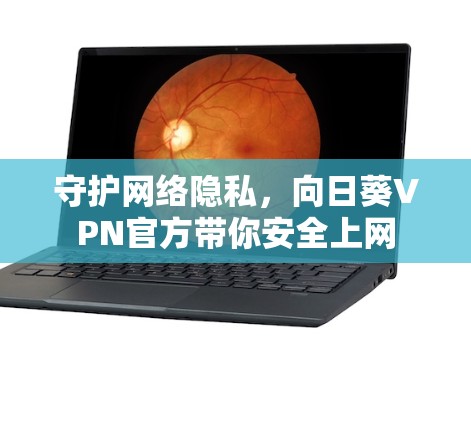 守护网络隐私,向日葵VPN官方带你安全上网 守护网络隐私,向日葵VPN官方带你安全上网