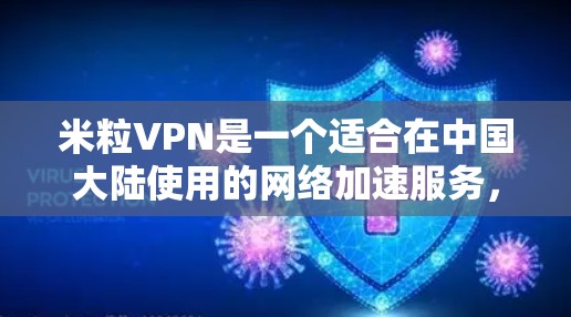 米粒VPN是一个适合在中国大陆使用的网络加速服务，它提供了快速的访问速度和稳定的连接。以下是对米粒VPN的综合分析