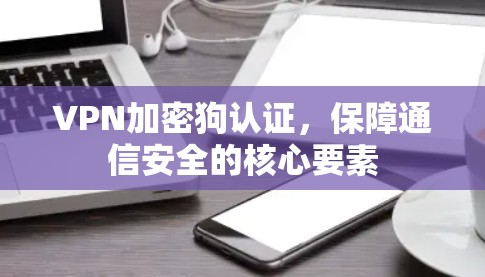VPN加密狗认证,保障通信安全的核心要素 VPN加密狗认证,保障通信安全的核心要素