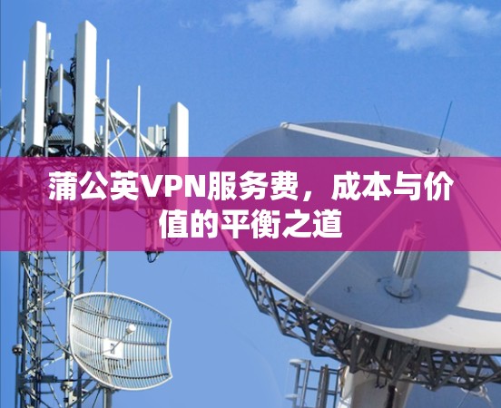 蒲公英VPN服务费,成本与价值的平衡之道 蒲公英VPN服务费,成本与价值的平衡之道