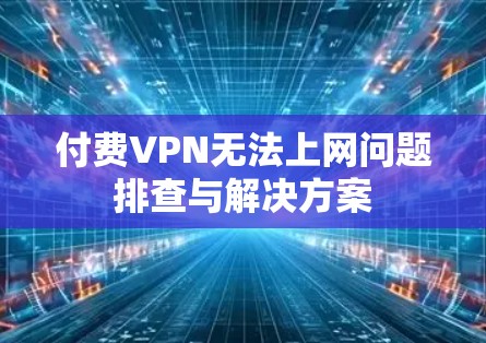 付费VPN无法上网问题排查与解决方案