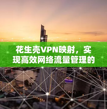 花生壳VPN映射,实现高效网络流量管理的技术手册 花生壳VPN映射,实现高效网络流量管理的技术手册