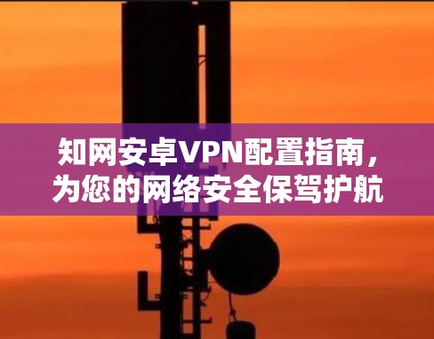 知网安卓VPN配置指南，为您的网络安全保驾护航