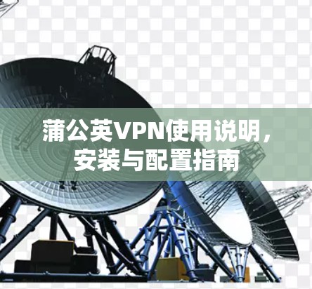 蒲公英VPN使用说明，安装与配置指南