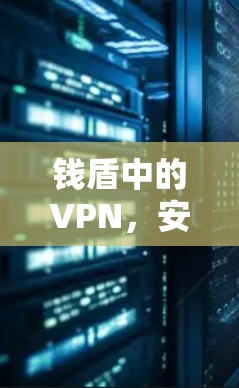 钱盾中的VPN，安全通信的双重保障