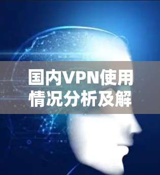 国内VPN使用情况分析及解决方案 国内VPN使用情况分析及解决方案