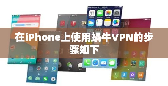 在iPhone上使用蜗牛VPN的步骤如下
