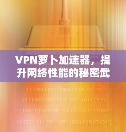 VPN萝卜加速器,提升网络性能的秘密武器 VPN萝卜加速器,提升网络性能的秘密武器