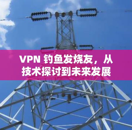 VPN 钓鱼发烧友，从技术探讨到未来发展