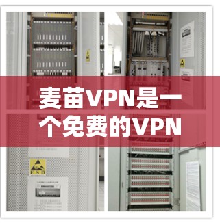 麦苗VPN是一个免费的VPN服务提供商，适合需要匿名浏览和加密通信的用户。以下是对麦苗VPN的详细分析，帮助你做出明智的选择