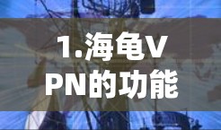 1.海龟VPN的功能 1.海龟VPN的功能