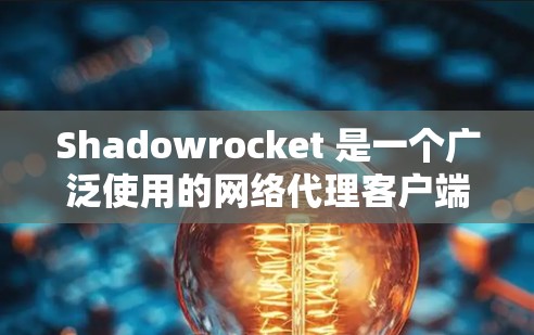 Shadowrocket 是一个广泛使用的网络代理客户端，支持多种代理协议和网络环境。以下是Shadowrocket iOS 客户端的详细信息和使用指南