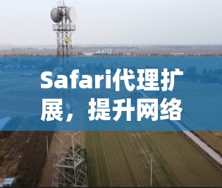 Safari代理扩展，提升网络性能的秘密武器