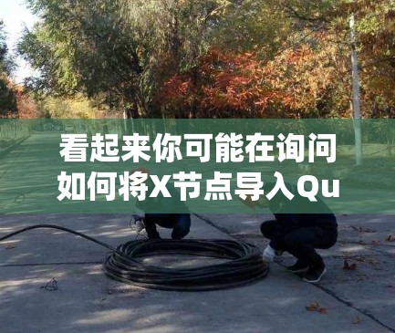 看起来你可能在询问如何将X节点导入Quantumult中。如果Quantumult是一个网络工具或软件,而X节点可能是一个特定的功能模块或配置,以下是一些可能的步骤和建议 看起来你可能在询问如何将X节点导入Quantumult中。如果Quantumult是一个网络工具或软件,而X节点可能是一个特定的功能模块或配置,以下是一些可能的步骤和建议