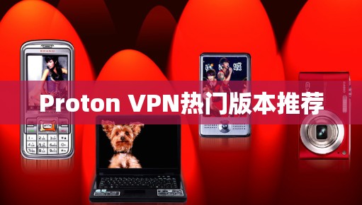Proton VPN热门版本推荐 Proton VPN热门版本推荐