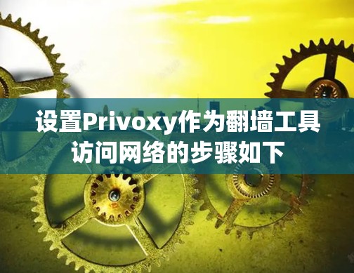 设置Privoxy作为翻墙工具访问网络的步骤如下 设置Privoxy作为翻墙工具访问网络的步骤如下