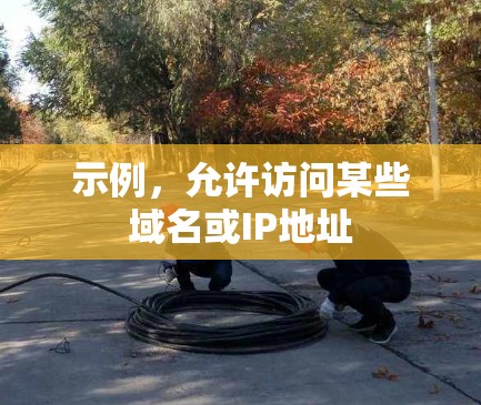 示例,允许访问某些域名或IP地址 示例,允许访问某些域名或IP地址