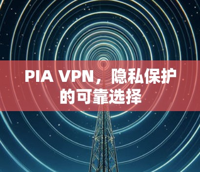 PIA VPN,隐私保护的可靠选择 PIA VPN,隐私保护的可靠选择