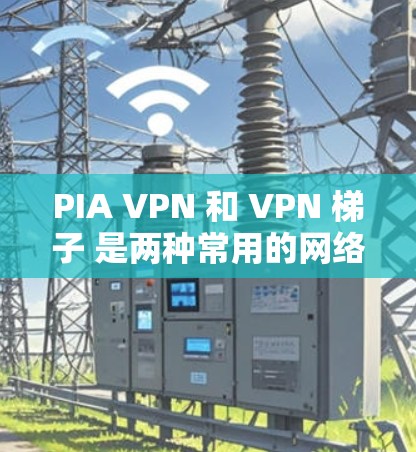 PIA VPN 和 VPN 梯子 是两种常用的网络工具,适用于不同的需求。以下是它们的区别和使用方法 PIA VPN 和 VPN 梯子 是两种常用的网络工具,适用于不同的需求。以下是它们的区别和使用方法