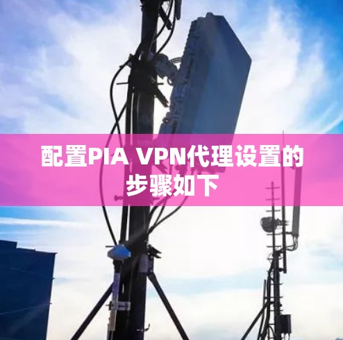 配置PIA VPN代理设置的步骤如下 配置PIA VPN代理设置的步骤如下