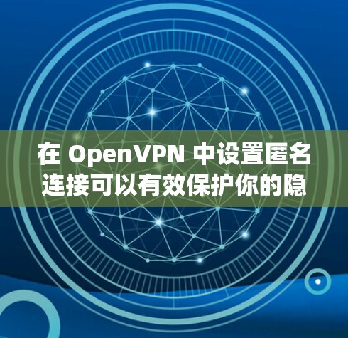 在 OpenVPN 中设置匿名连接可以有效保护你的隐私。以下是详细的步骤指南