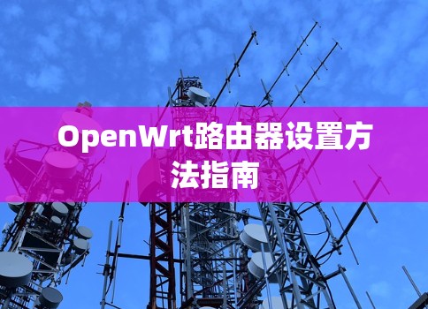 OpenWrt路由器设置方法指南