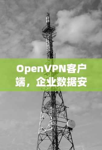 OpenVPN客户端,企业数据安全的无缝解决方案 OpenVPN客户端,企业数据安全的无缝解决方案