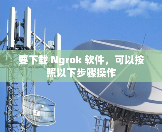 要下载 Ngrok 软件,可以按照以下步骤操作 要下载 Ngrok 软件,可以按照以下步骤操作