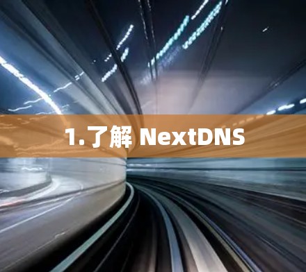 1.了解 NextDNS 1.了解 NextDNS