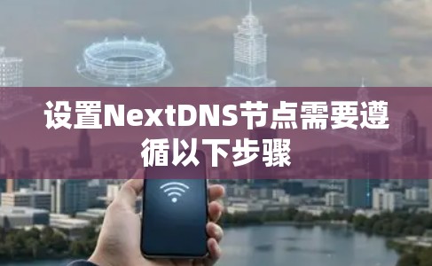 设置NextDNS节点需要遵循以下步骤 设置NextDNS节点需要遵循以下步骤