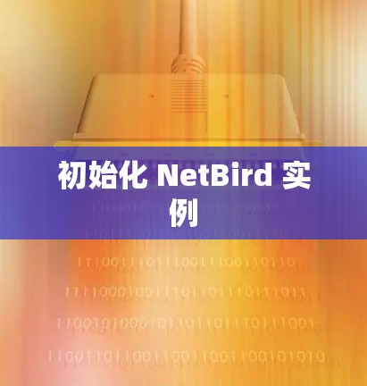 初始化 NetBird 实例