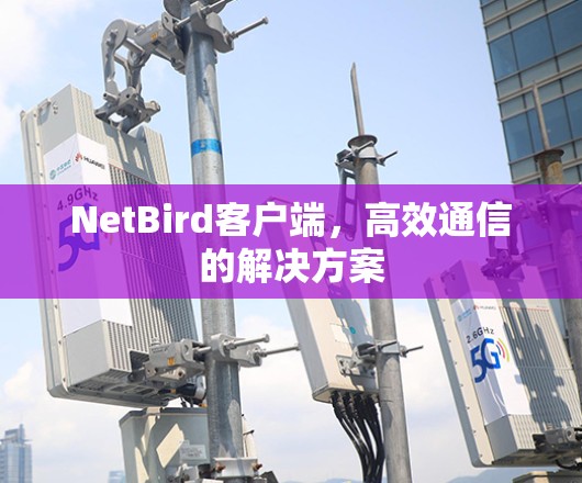 NetBird客户端，高效通信的解决方案