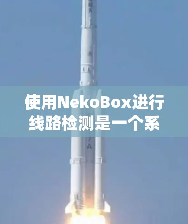 使用NekoBox进行线路检测是一个系统化的过程，以下是分步说明