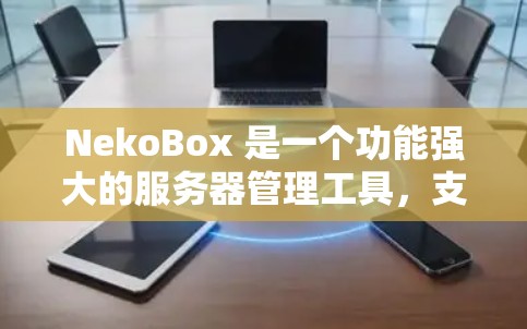 NekoBox 是一个功能强大的服务器管理工具，支持多种云服务提供商（如阿里云、腾讯云、AWS 等）以下是 NekoBox 的安装教程