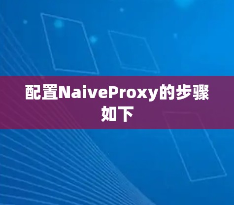 配置NaiveProxy的步骤如下