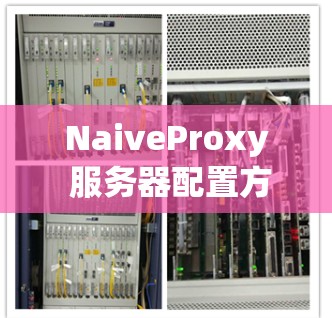 NaiveProxy 服务器配置方法（41字）