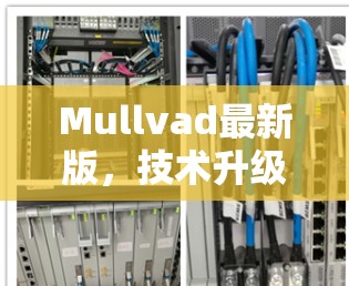 Mullvad最新版，技术升级与应用潜力分析