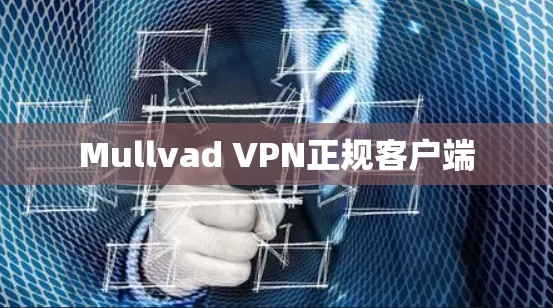 Mullvad VPN正规客户端