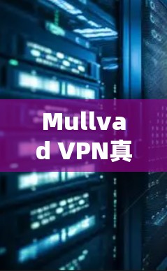 Mullvad VPN真实速度体验测试，速度、稳定性、适用场景分析