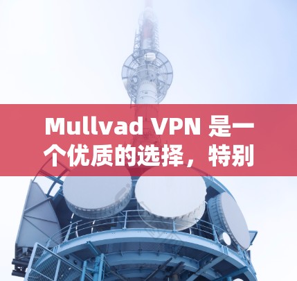 Mullvad VPN 是一个优质的选择,特别适合注重隐私和速度的用户。以下是对其的详细分析和总结 Mullvad VPN 是一个优质的选择,特别适合注重隐私和速度的用户。以下是对其的详细分析和总结