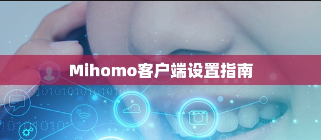 Mihomo客户端设置指南