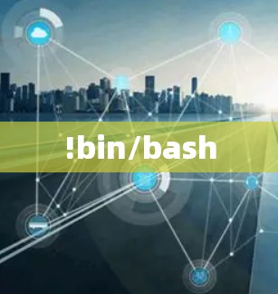 !bin/bash