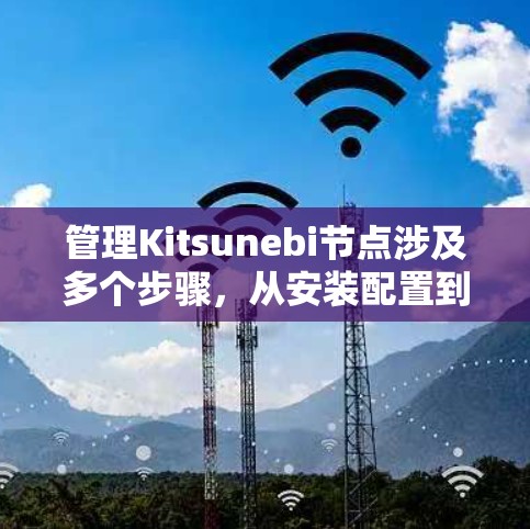 管理Kitsunebi节点涉及多个步骤，从安装配置到日常管理，每个环节都需细致处理。以下是详细的分步指南