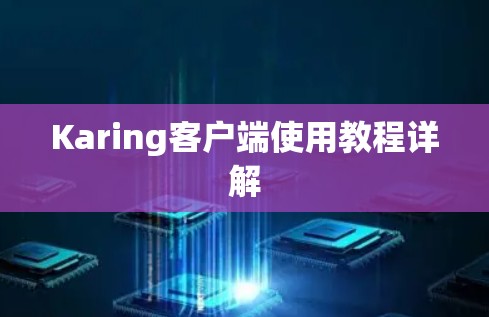 Karing客户端使用教程详解 Karing客户端使用教程详解