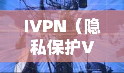 IVPN（隐私保护VPN）是一种结合隐私保护功能的VPN服务，旨在通过技术手段保护用户的网络隐私、数据安全和网络匿名性。以下是IVPN的主要隐私功能分析