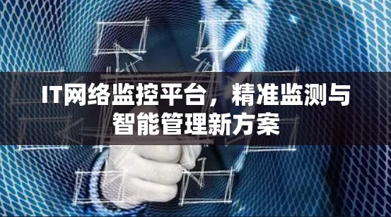 IT网络监控平台，精准监测与智能管理新方案