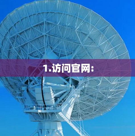 1.访问官网: 1.访问官网: