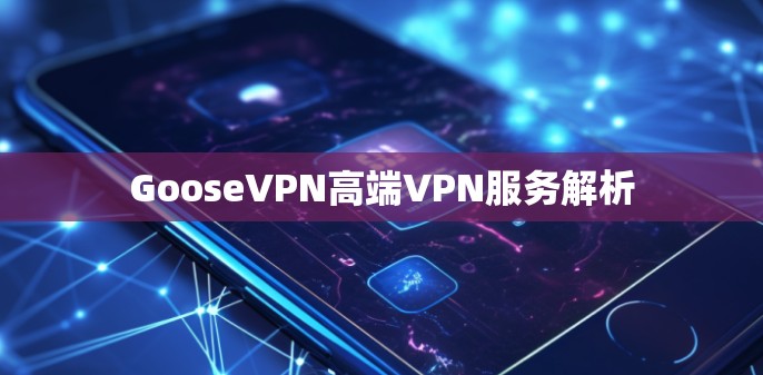 GooseVPN高端VPN服务解析