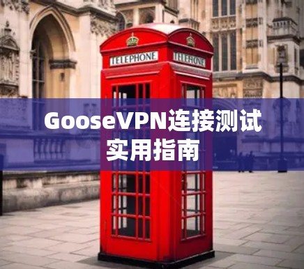 GooseVPN连接测试实用指南 GooseVPN连接测试实用指南